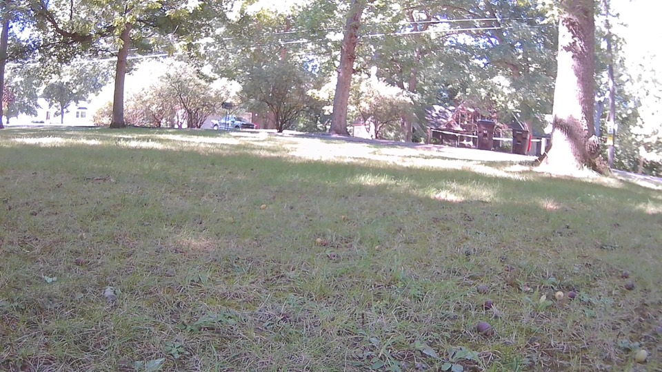 Front camera view across the lawn toward the road with the model's detection boxes.