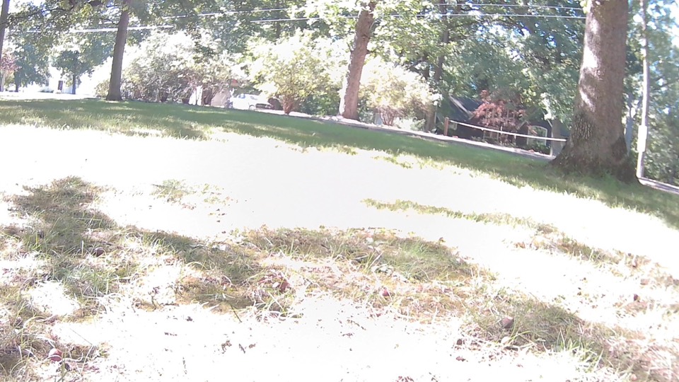Front camera view used for the route plan, with real and invented tree-trunk boxes.