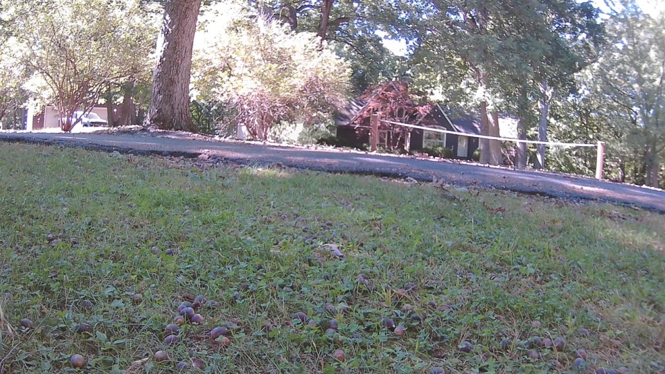 Front camera 11 ft from the road with the model's road box.