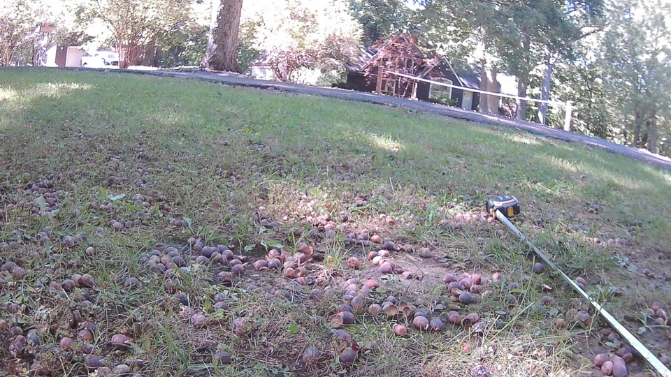 Front camera 19.5 ft from the road with the model's road box.