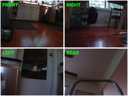 2x2 camera mosaic: kitchen cabinets close in front, nobody in frame.